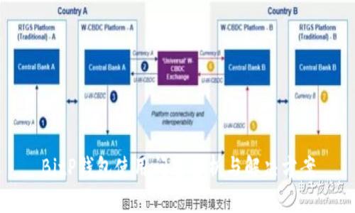 BitP钱包使用问题解析与解决方案
