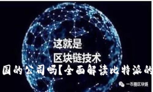 比特派是中国的公司吗？全面解读比特派的背景与发展