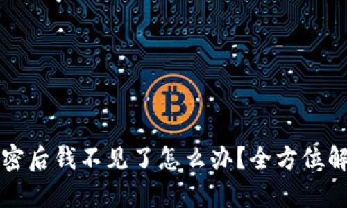 比特币钱包加密后钱不见了怎么办？全方位解析与解决方案