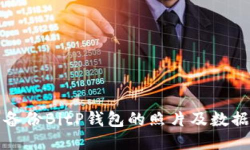 如何安全备份BitP钱包的照片及数据保护指南