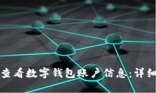 如何查看数字钱包账户信息：详细指南