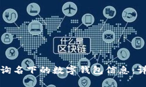 如何查询名下的数字钱包信息：详细指南