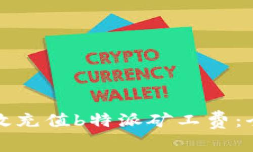 如何有效充值b特派矿工费：全面指南