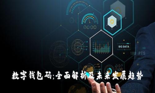 数字钱包码：全面解析及未来发展趋势