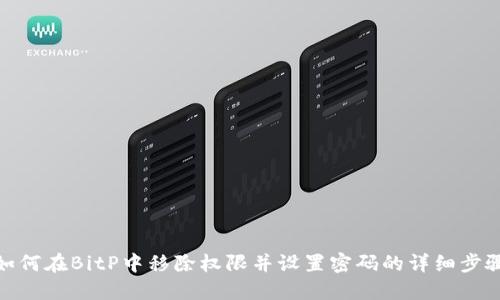 如何在BitP中移除权限并设置密码的详细步骤