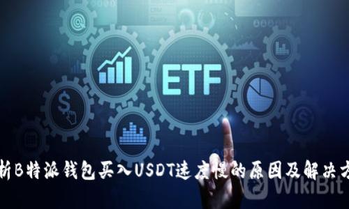 分析B特派钱包买入USDT速度慢的原因及解决方案