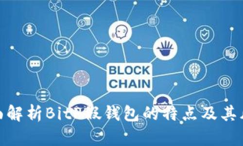 全面解析BitP假钱包的特点及其风险