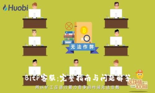 BitP客服：完整指南与问题解答