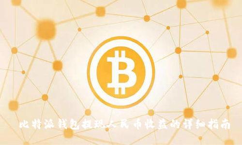  比特派钱包提现人民币收益的详细指南