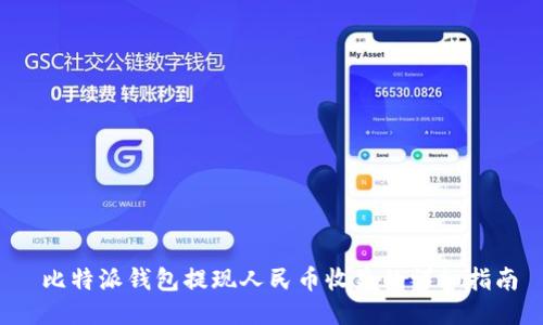  比特派钱包提现人民币收益的详细指南