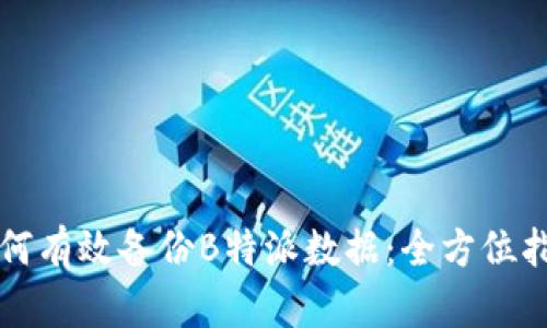 如何有效备份B特派数据：全方位指南