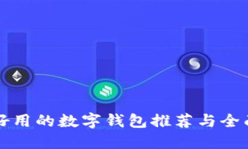 十大好用的数字钱包推荐与全面对比