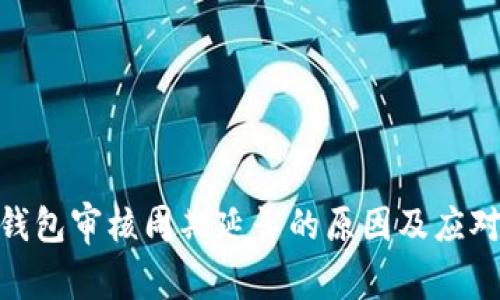 数字钱包审核周期延长的原因及应对措施