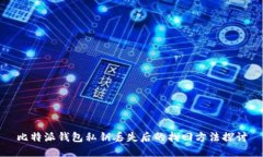 比特派钱包私钥丢失后的找回方法探讨