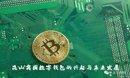 昆山商圈数字钱包的兴起与未来发展