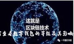 如何查看数字钱包的等级及其影响因素