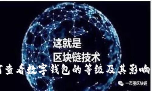 如何查看数字钱包的等级及其影响因素
