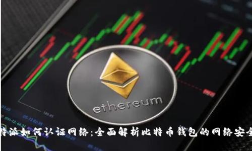 比特派如何认证网络：全面解析比特币钱包的网络安全性