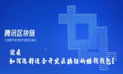 优质如何选择适合开发区块链的赚钱钱包？