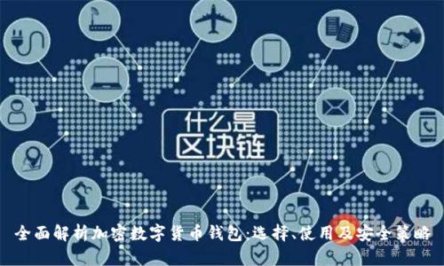 全面解析加密数字货币钱包：选择、使用及安全策略