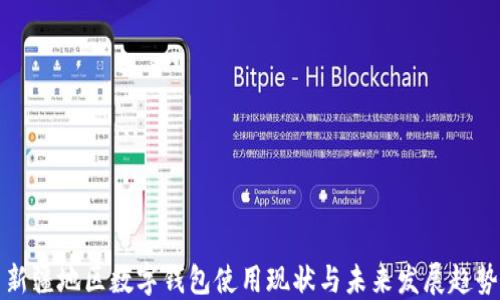 
新疆地区数字钱包使用现状与未来发展趋势
