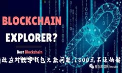 如何有效应对数字钱包欠款问题：1800元不还的解