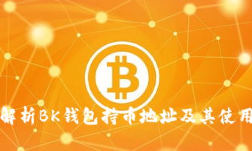 全面解析BK钱包持币地址及其使用指南