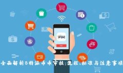 全面解析B特派币币审核：流程、标准与注意事项