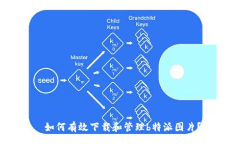 如何有效下载和管理b特派图片？