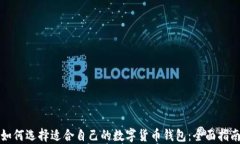 如何选择适合自己的数字货币钱包：全面指南