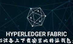 如何在iOS设备上下载安装比特派钱包：详细指南