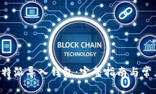 如何使用B特派导入钱包：完整指南与常见问题解答