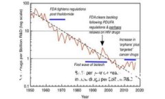 数字钱包选择银行的最佳指南