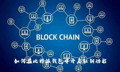 如何在比特派钱包中开启私钥功能