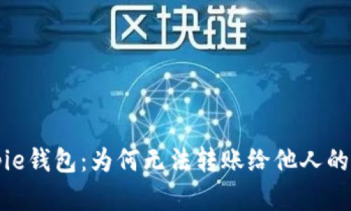 解密Bitpie钱包：为何无法转账给他人的全面分析