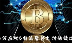   如何应对B特派暂停支付的情况？