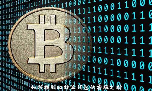 
如何找到比特派钱包的客服支持