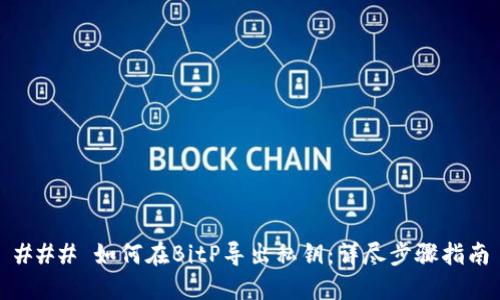 ### 如何在BitP导出私钥：详尽步骤指南