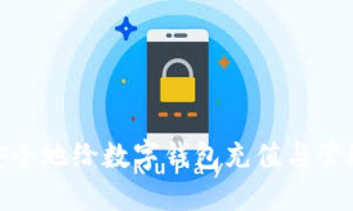 如何安全地给数字钱包充值与管理资金