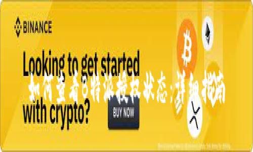 如何查看B特派授权状态：详细指南