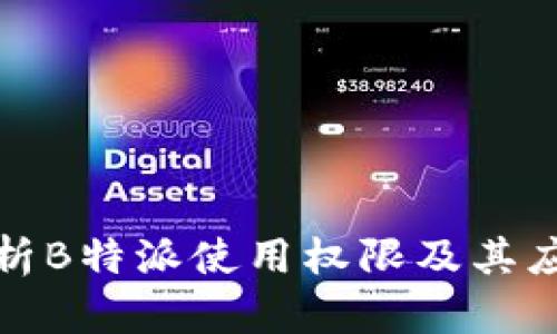 全面解析B特派使用权限及其应用场景