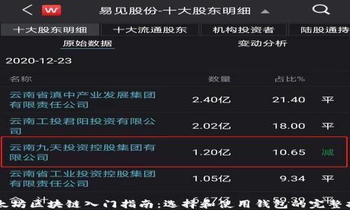 
以太坊区块链入门指南：选择和使用钱包的完整指南