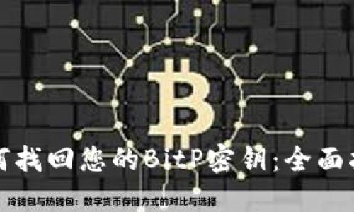 如何找回您的BitP密钥：全面指南