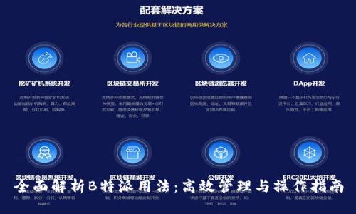 全面解析B特派用法：高效管理与操作指南
