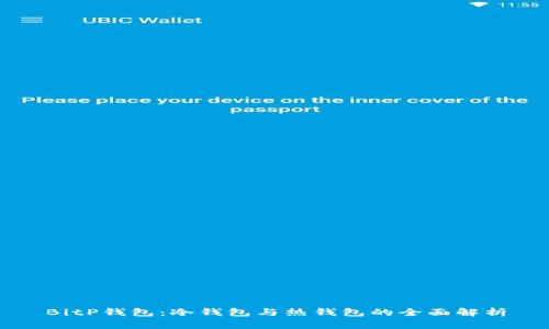 BitP钱包：冷钱包与热钱包的全面解析