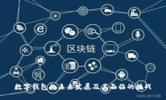 数字钱包的未来发展及其面临的挑战