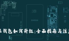 比特派钱包如何升级：全面指南与注意事项