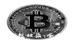 如何防止B特派钱包被盗：全面指南与安全策略