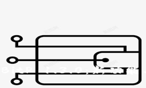 深入解析 BitP 1.3.0：新功能与全面评测