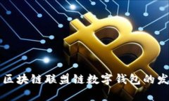 全面解析区块链联盟链数字钱包的发展与应用